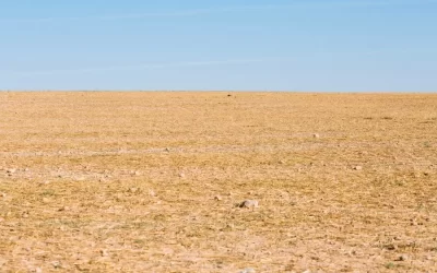 What Happens When You Stop Blogging?