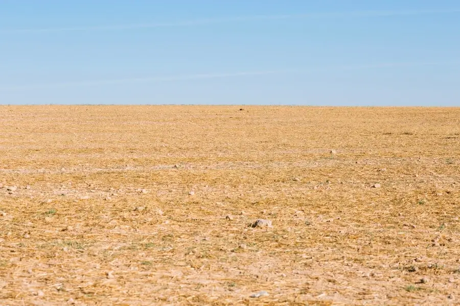 What Happens When You Stop Blogging?